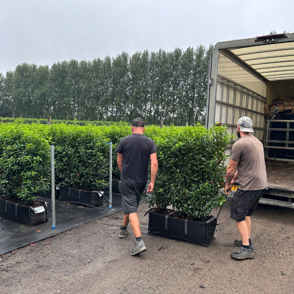 Sustainable Growing for the Future